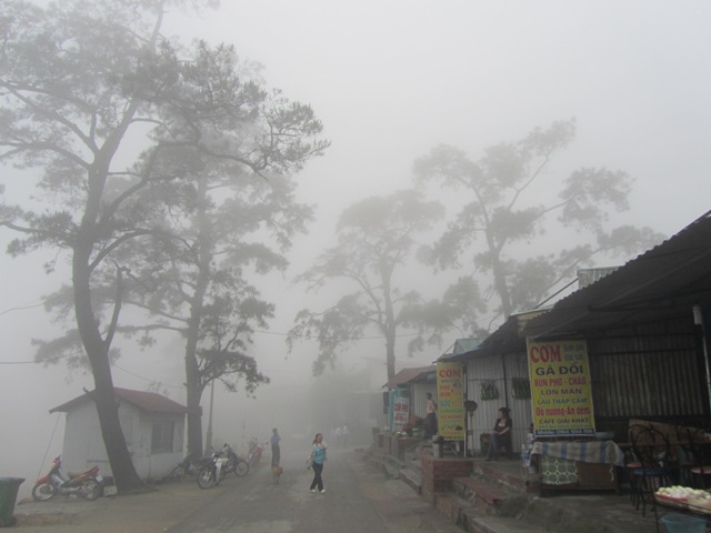 Tam Đảo mù sương