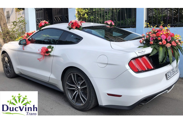 Cho thuê xe cưới Ford Mustang màu trắng