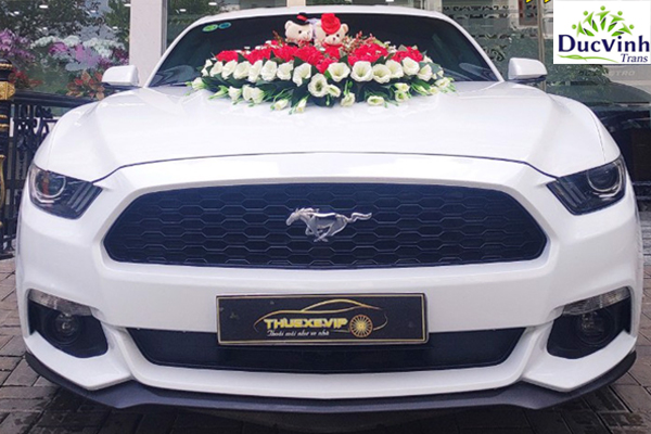 Cho thuê xe cưới Ford Mustang màu trắng