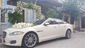 Cho thuê xe cưới VIP Jaguar